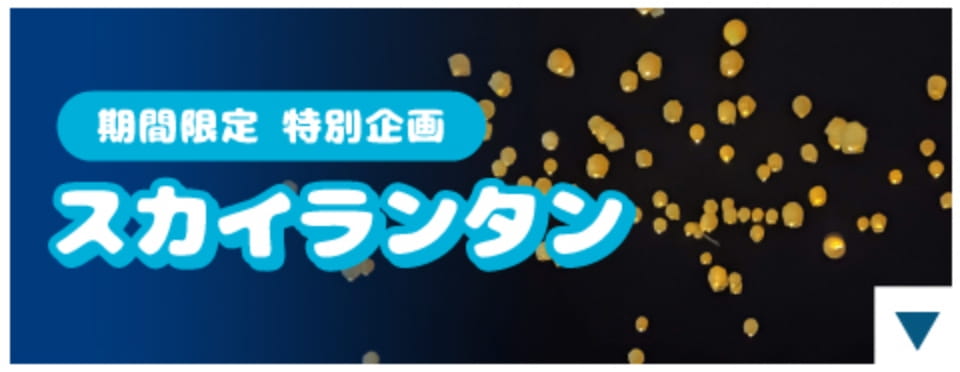 期間限定 特別企画 スカイランタン